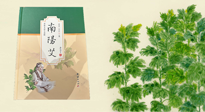 【行業(yè)資訊】國內(nèi)首部艾草專著《南陽艾》，在南陽新書首發(fā)！