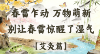 【二十四節(jié)氣灸】春雷驚醒濕氣！驚蟄艾灸3穴，疏肝祛濕養(yǎng)元氣！
